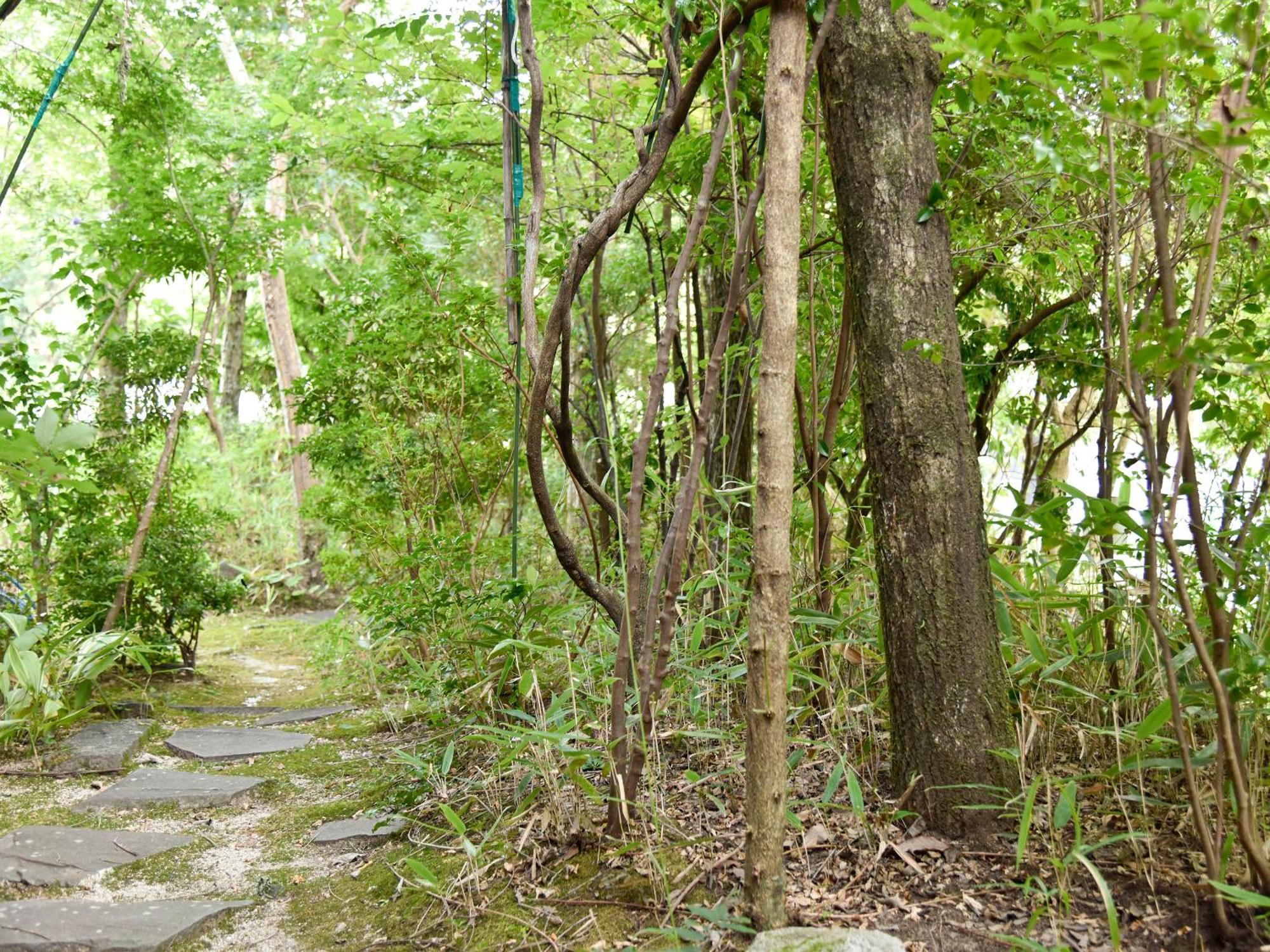 Oyado Yumechidori Saga Exterior foto